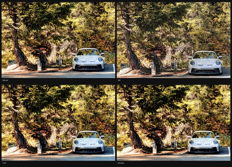One photograph of a car on a forest road, rendered four ways by Kelvin: Natural, Soft, Vivid and Dramatic.